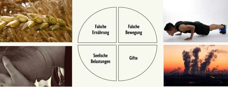 Übersäuerung und Entsäuerung Übersäuerung und Entsäuerung