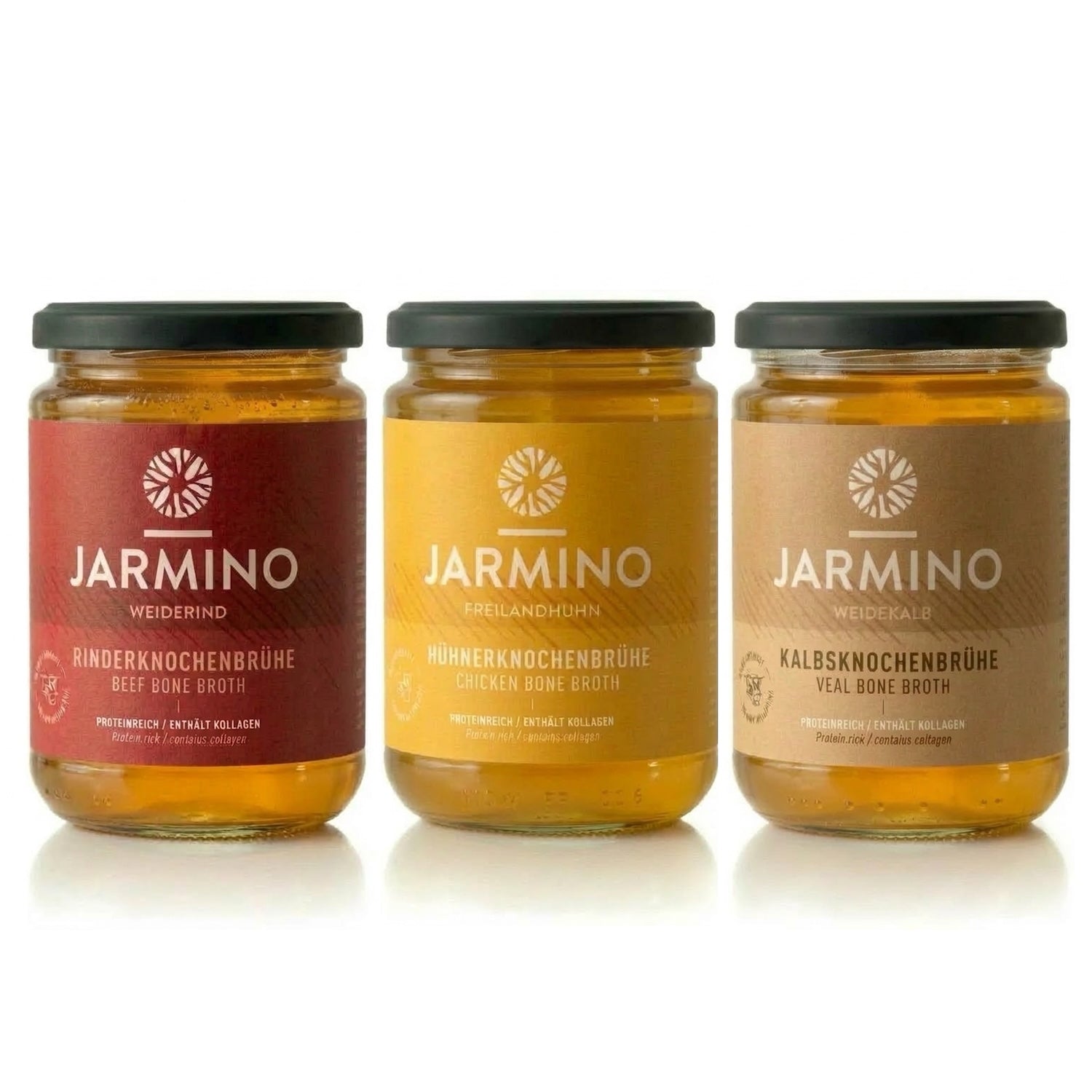 knochenbrühe aufbewahren Paket | 3x 350ml Variante:Für Kallax 4er Kürbis ernten, lagern & Para ordenar la nevera
