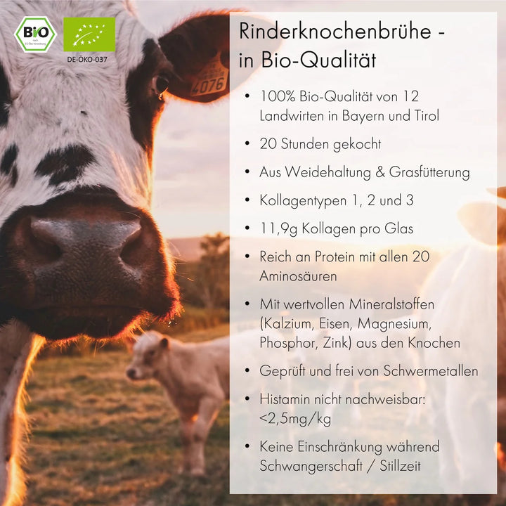Knochenbrühe Starterpaket