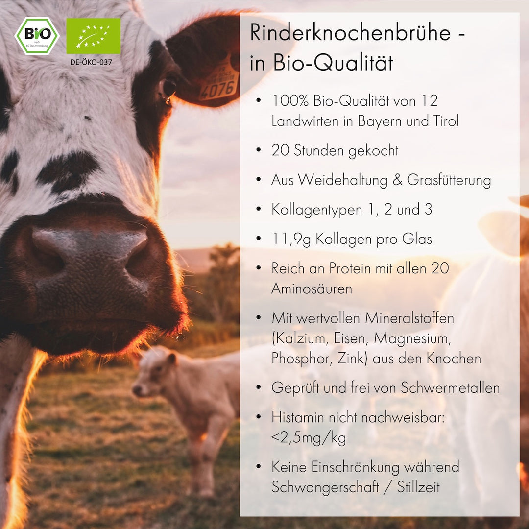 Knochenbrühen-Konzentrat + GRATIS Kollagenriegel