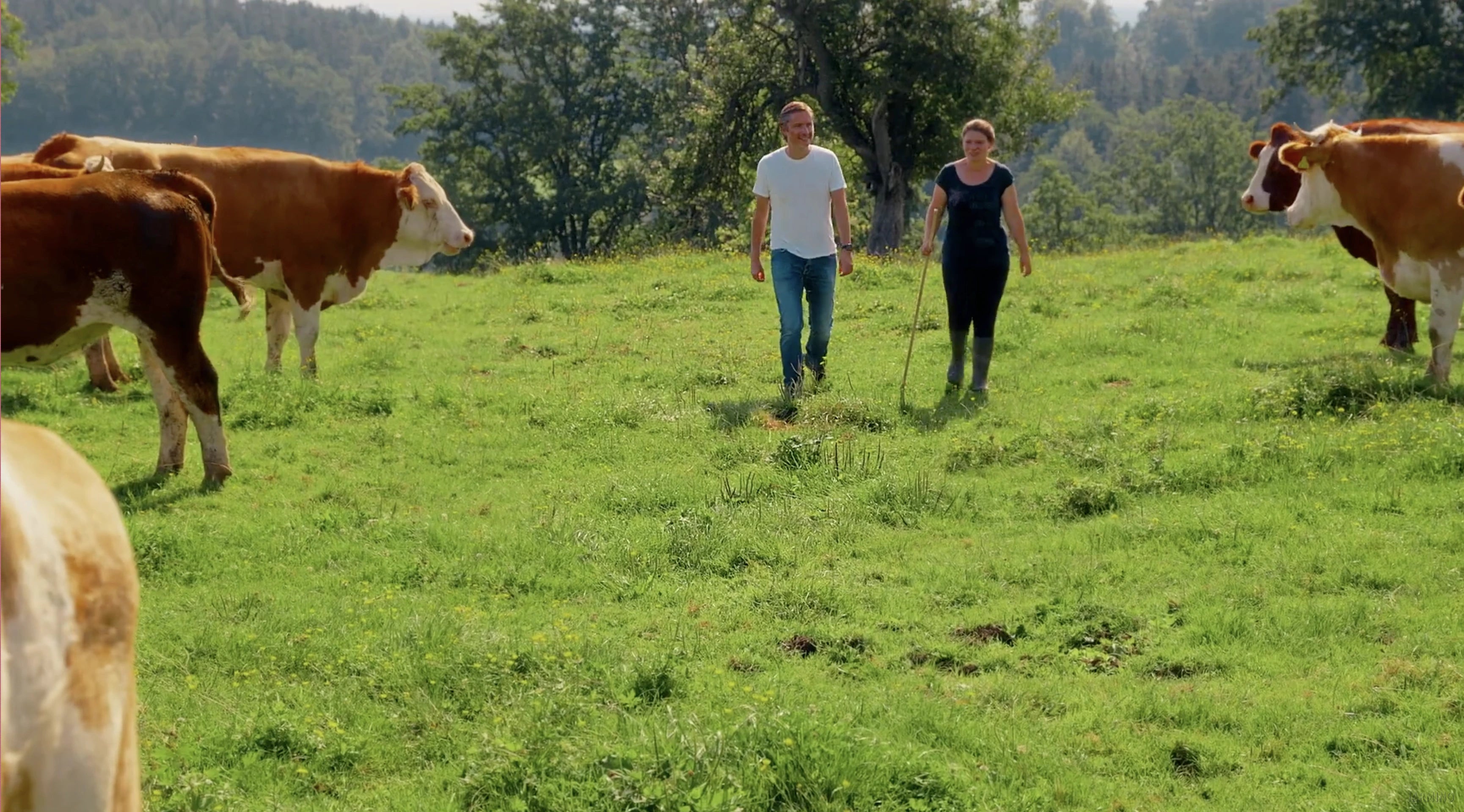 Bayern Farm